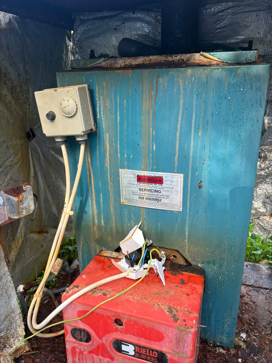 Oil burner and boiler - Image 4
