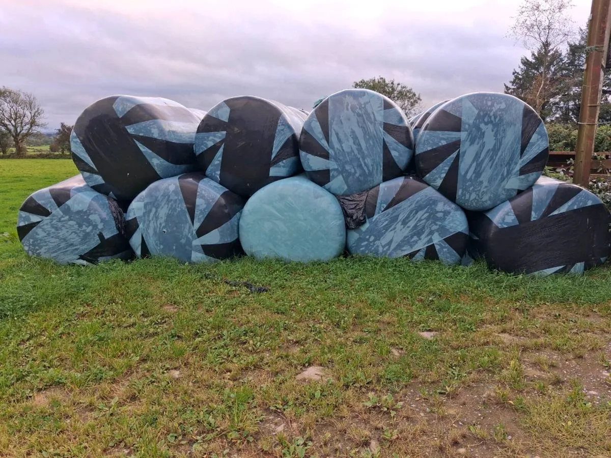 Organic silage bales - Image 1