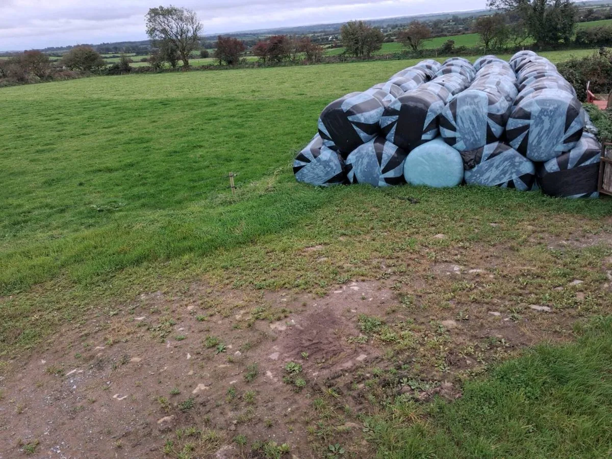 Organic silage bales - Image 2