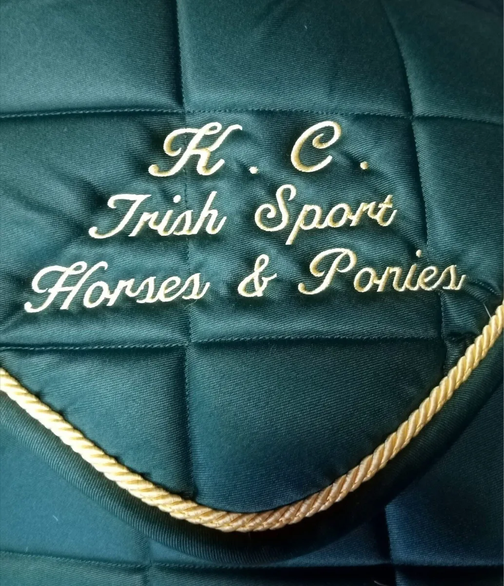 Young stock Cobs and pleasure rides - Image 1