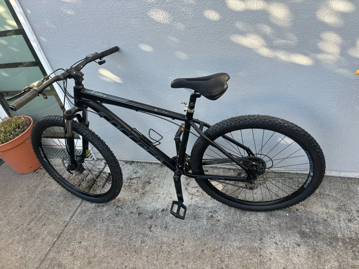 Carrera - Image 2