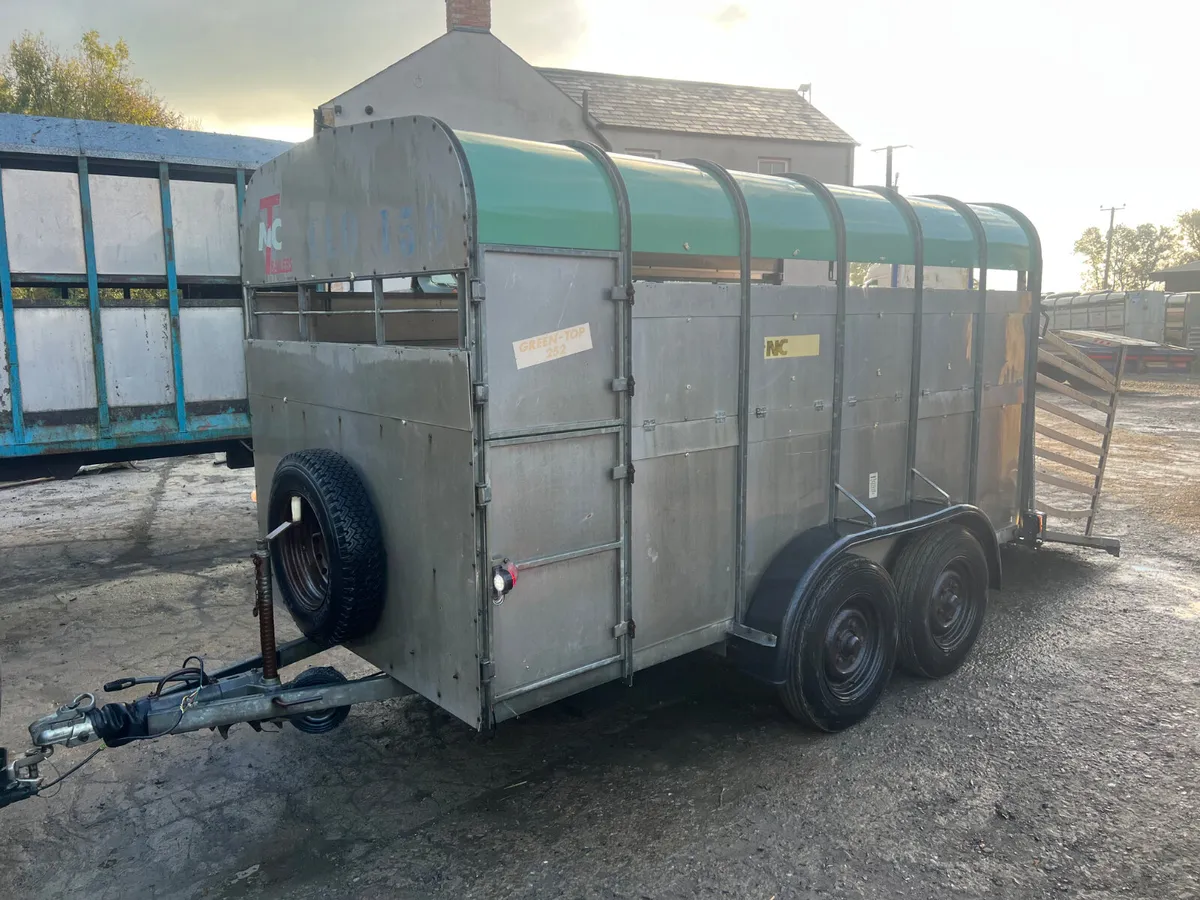 NC Cattle Trailer - Image 3