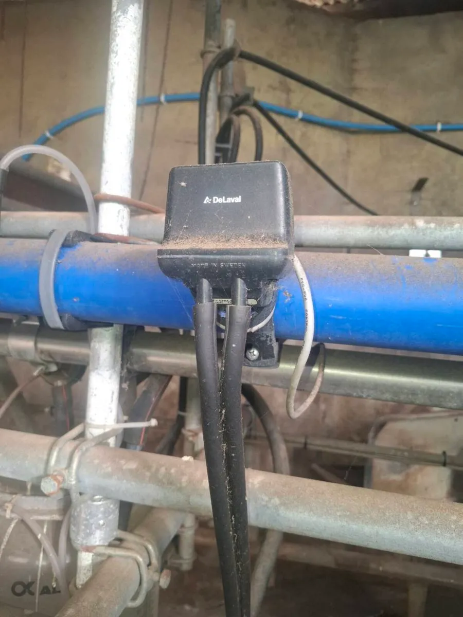 13 unit delaval milking parlour - Image 2
