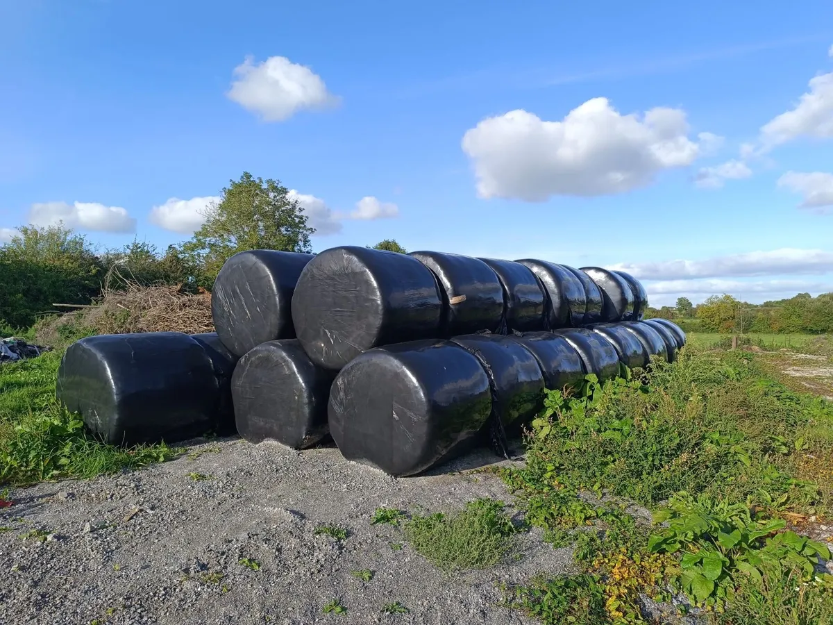 Silage bales 2026 & 2025 - Image 1