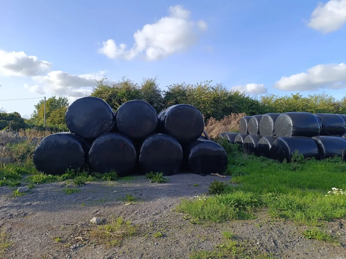 Silage bales 2026 & 2025 - Image 2