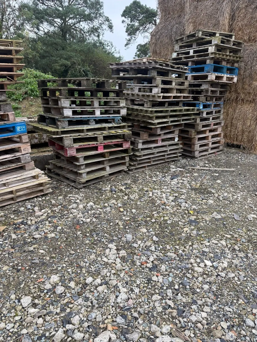 Free Pallets - Image 1