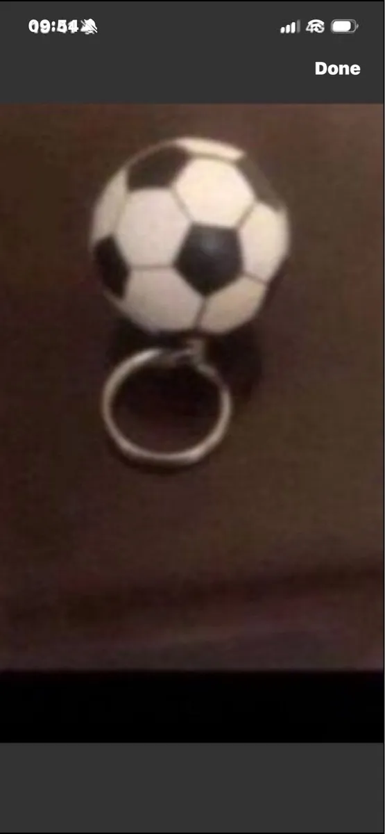 Novelty Key Rings - Image 2