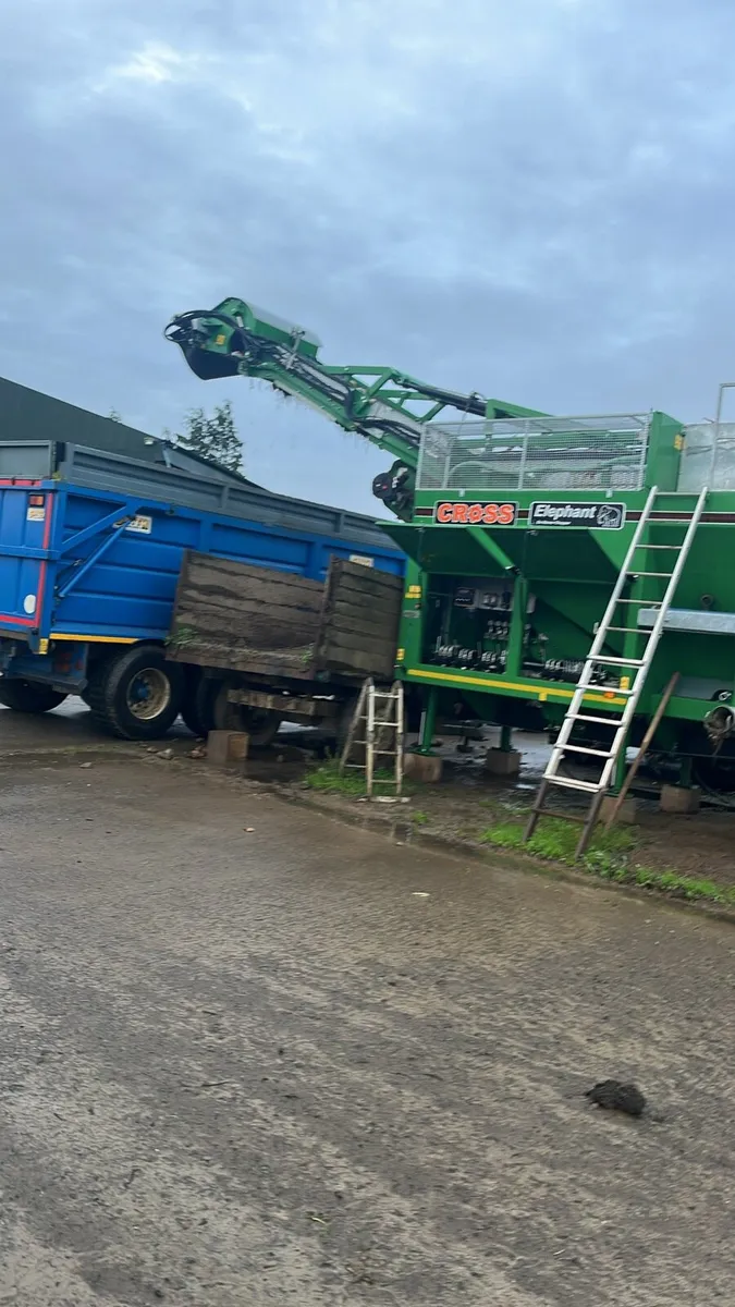 Beet for sale