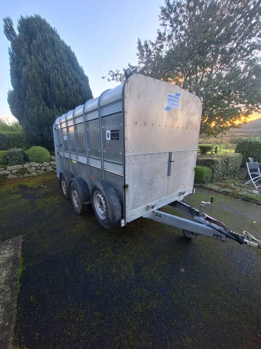 Ifor williams sheep trailer - Image 1