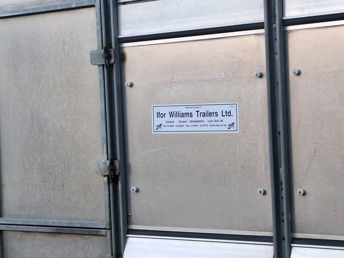 Ifor williams sheep trailer - Image 2