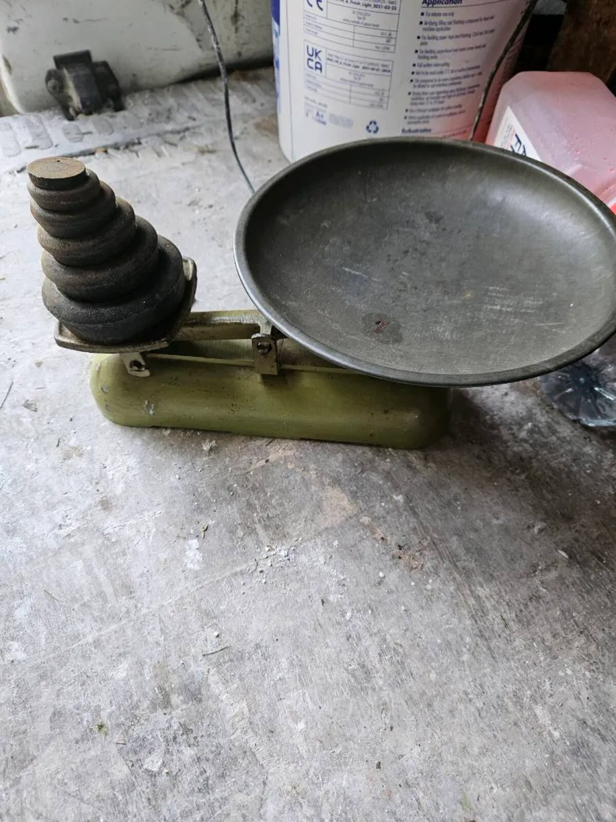 Antique green scales - Image 1