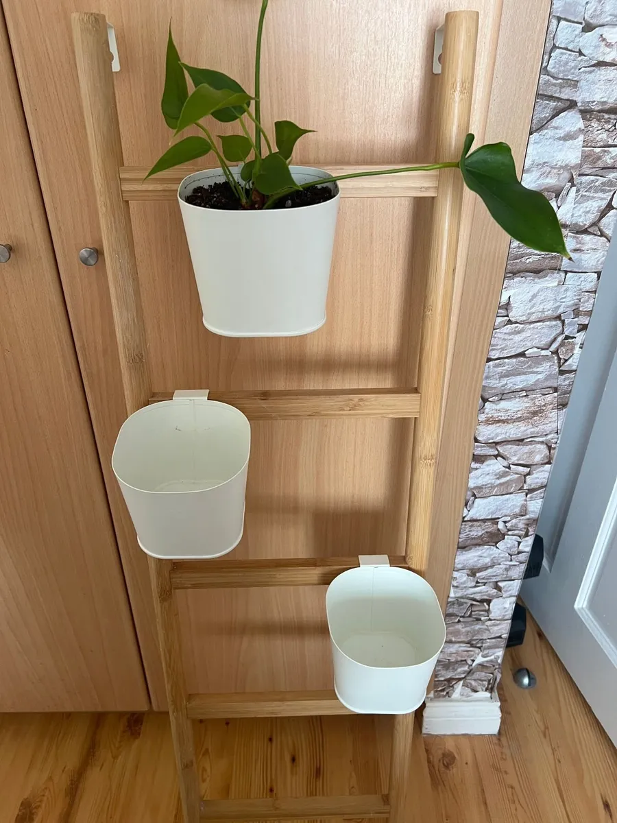 IKEA Plant rack for wall