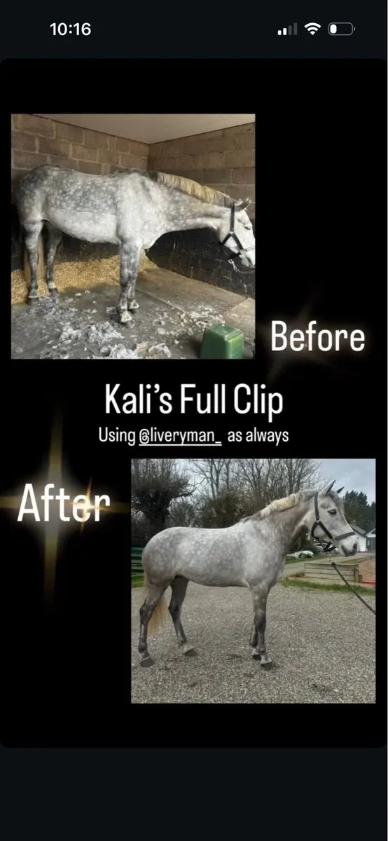 Clipping Services - Image 3