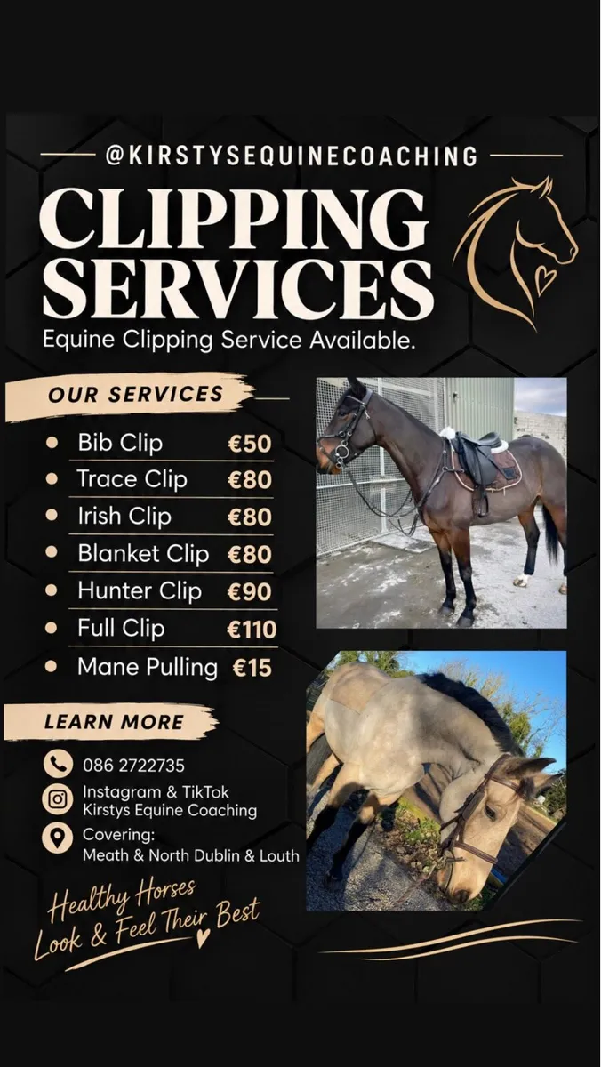 Clipping Services - Image 1