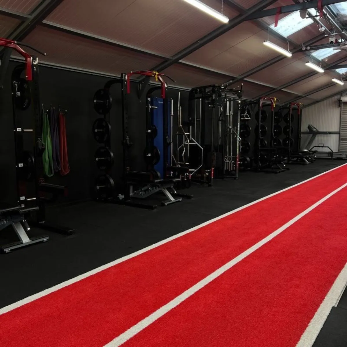 Indoor Astro Turf Tracks-Multiple Sizes & Colours - Image 2