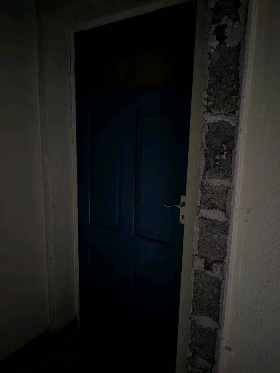 External door - Image 3
