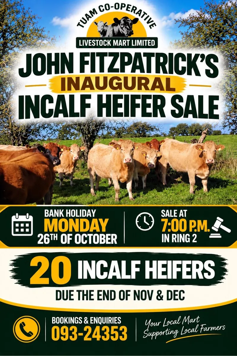 JOHN FITZPATRICK’S INAUGURAL IN-CALF HEIFER SALE - Image 1