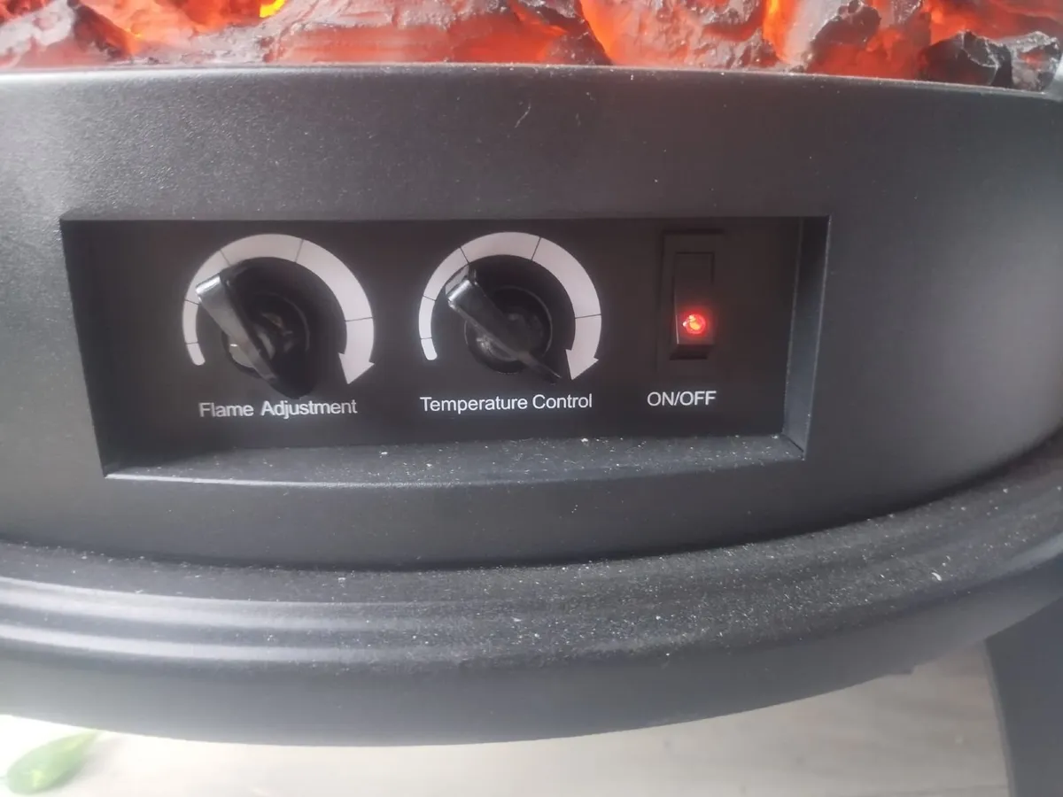 Electic fire - Image 3
