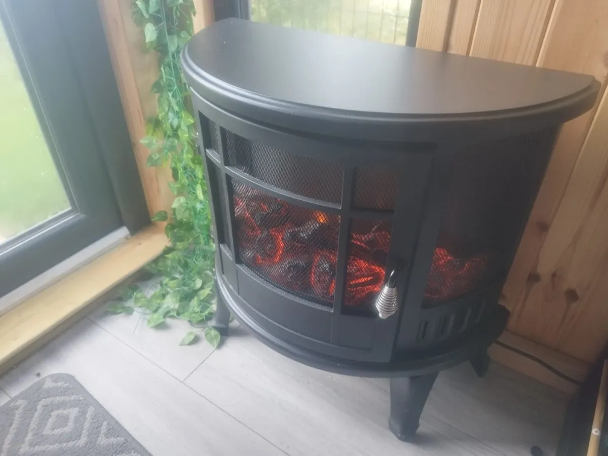 Electic fire - Image 1