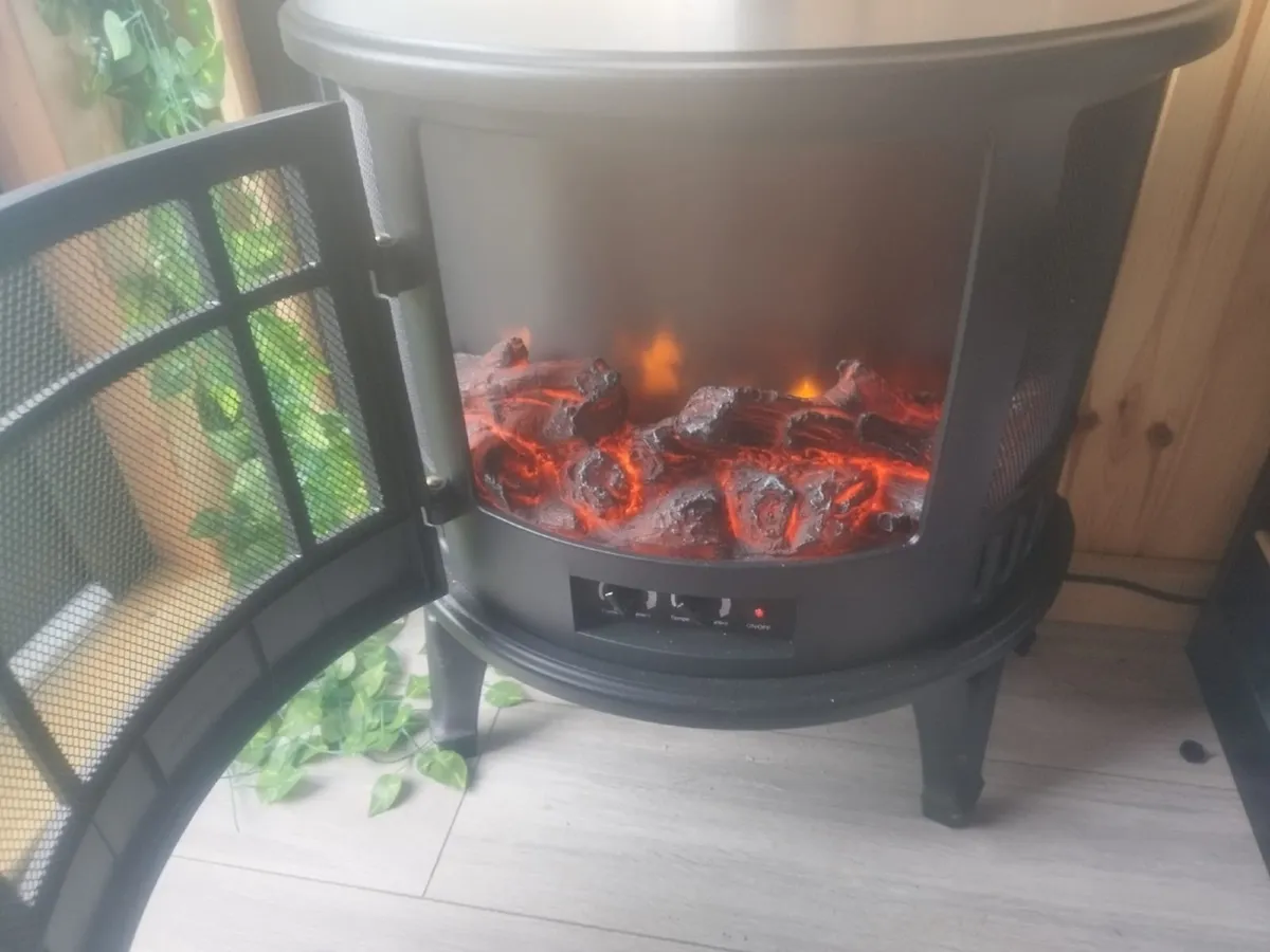 Electic fire - Image 4