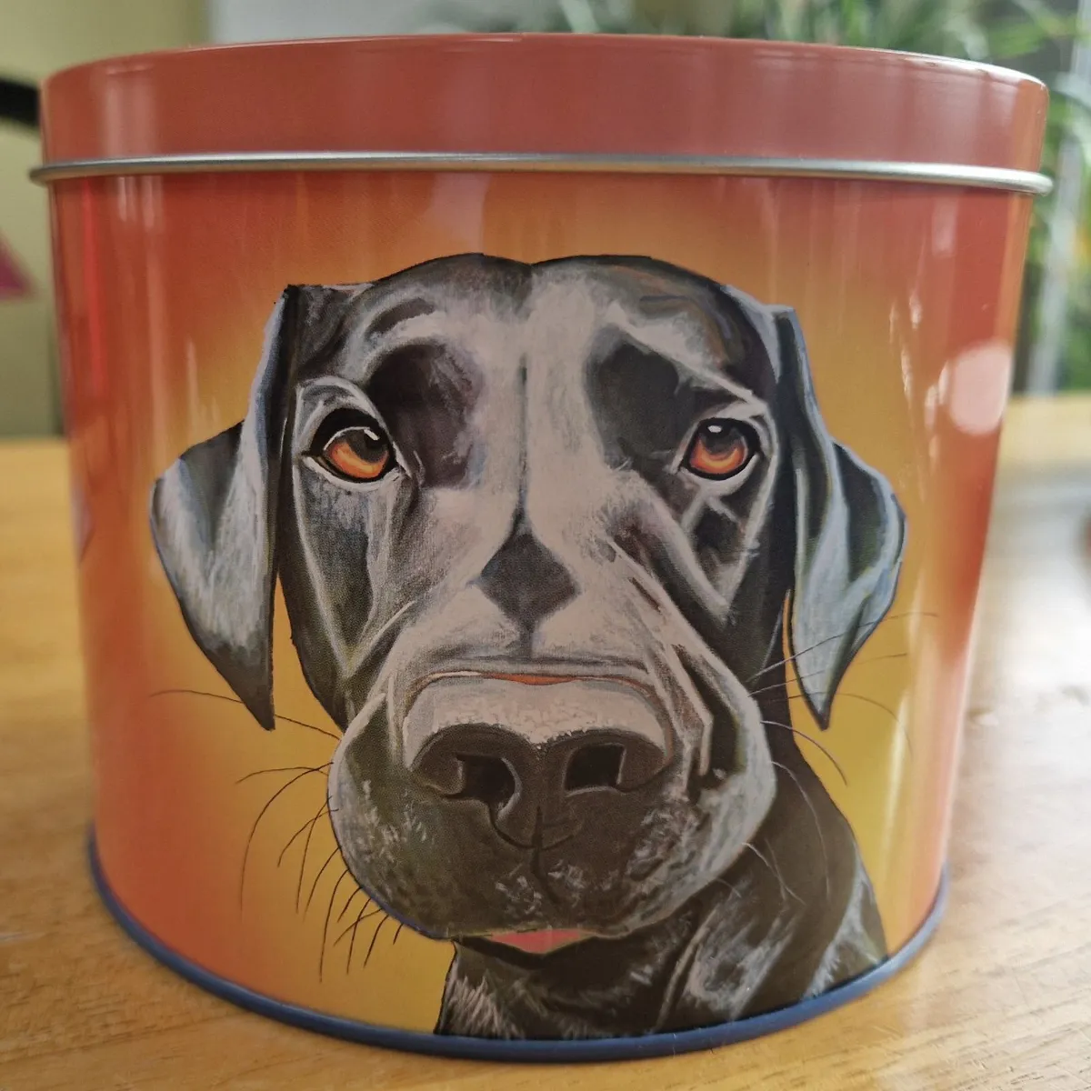Eoin OConnor Mutz Mug Mr Lover - Image 2