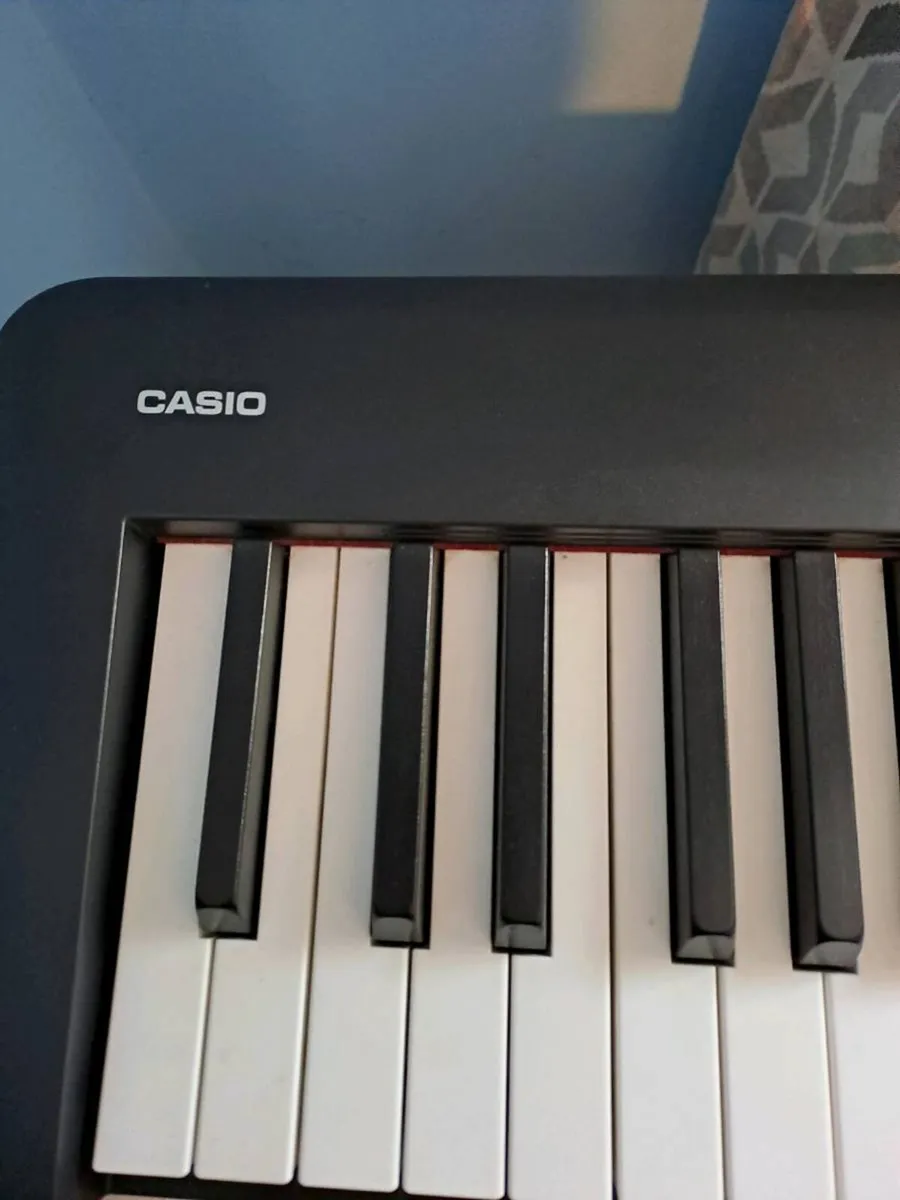 Casio Digital Piano - Image 3