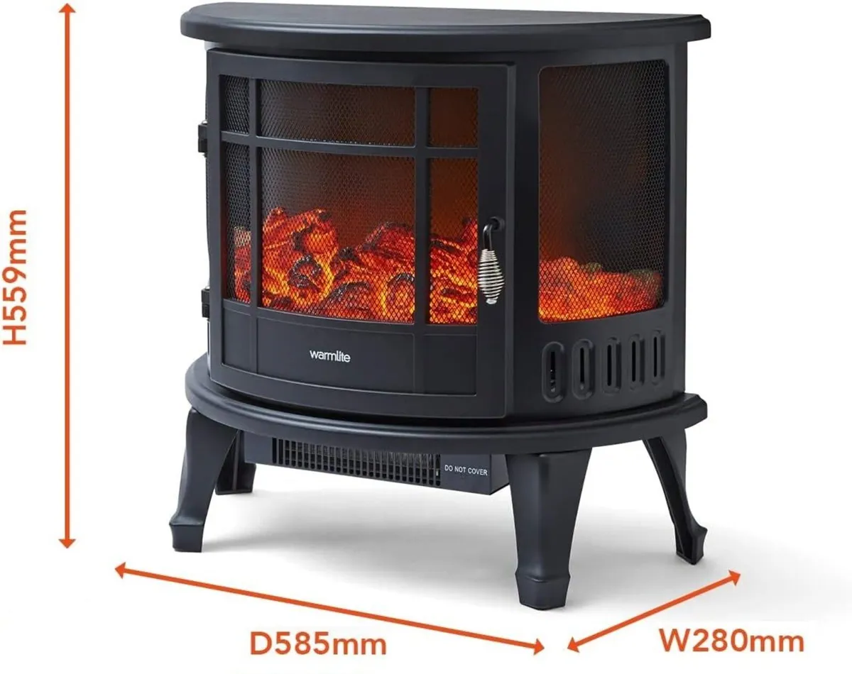 Electic fire - Image 2