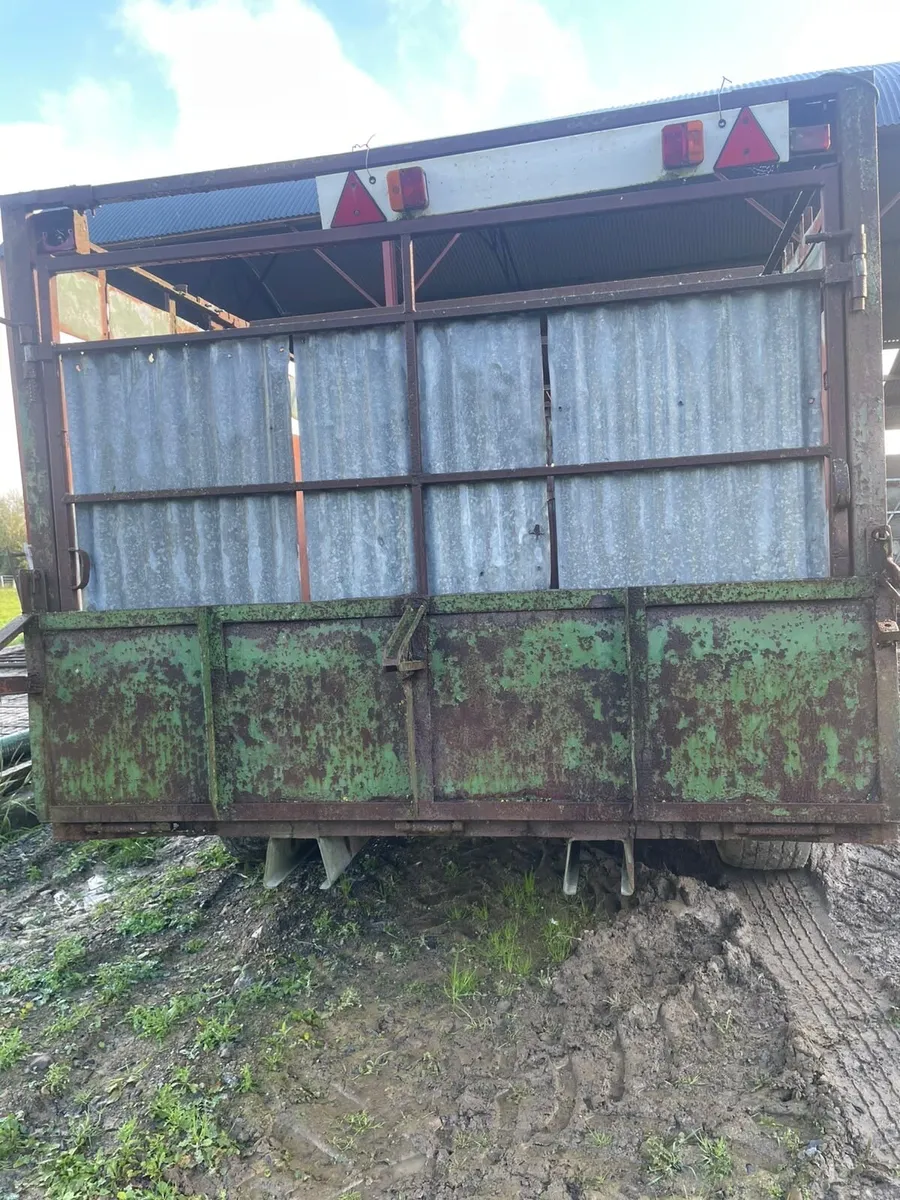 Cattle Trailer 16ft x 8ft - Image 2