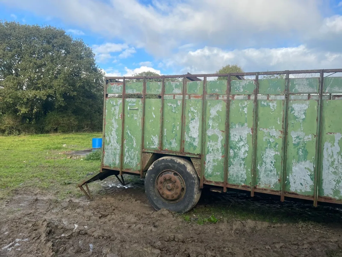 Cattle Trailer 16ft x 8ft - Image 3