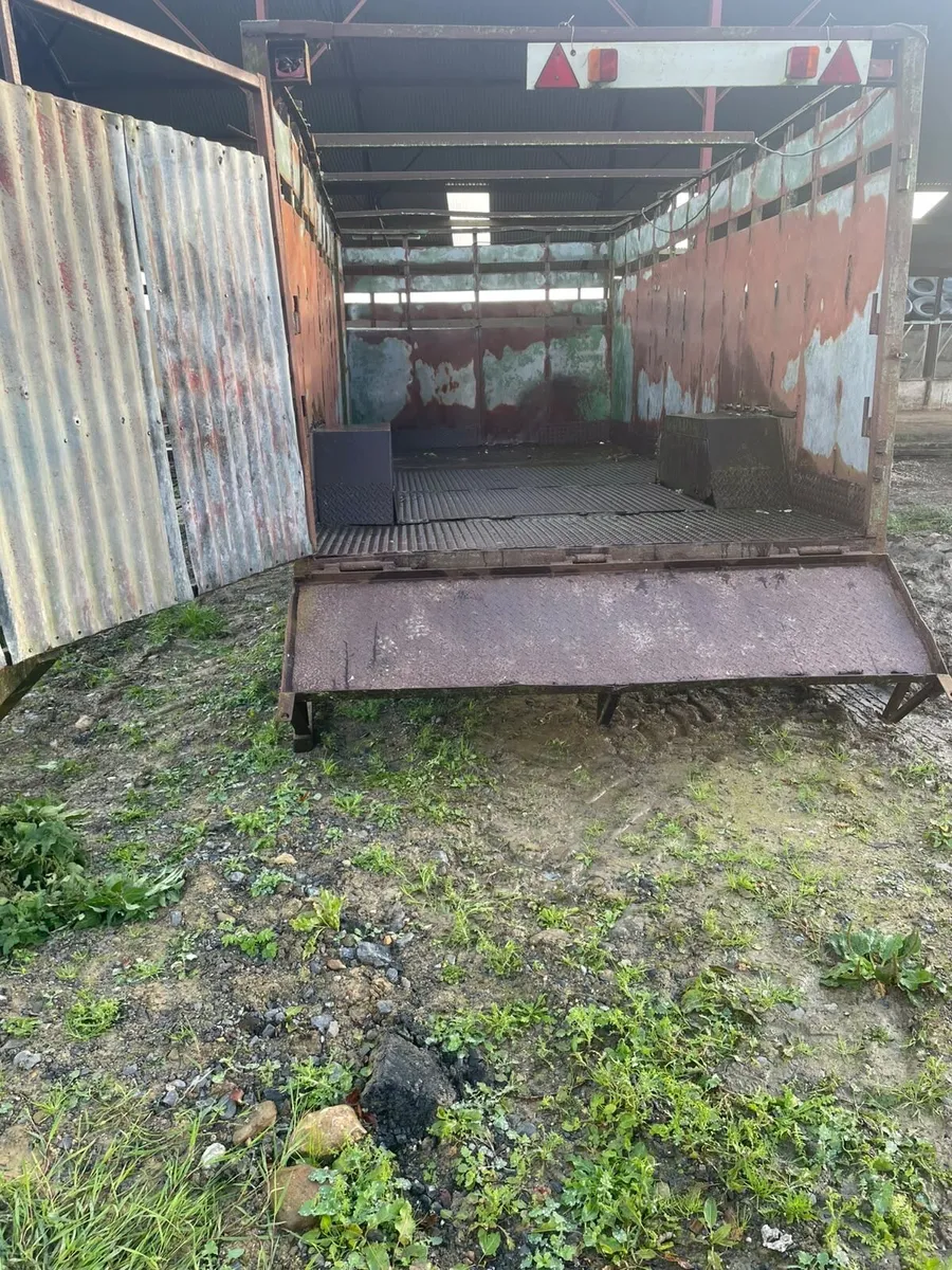 Cattle Trailer 16ft x 8ft - Image 4