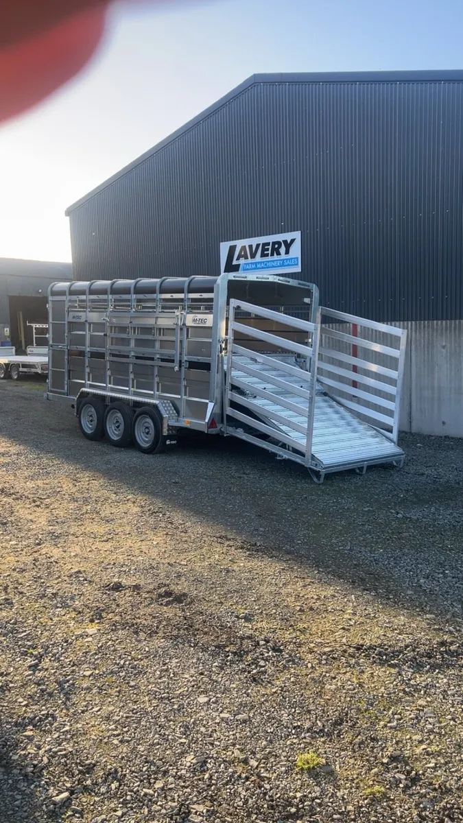 M-Tec livestock trailer with decks - Image 2