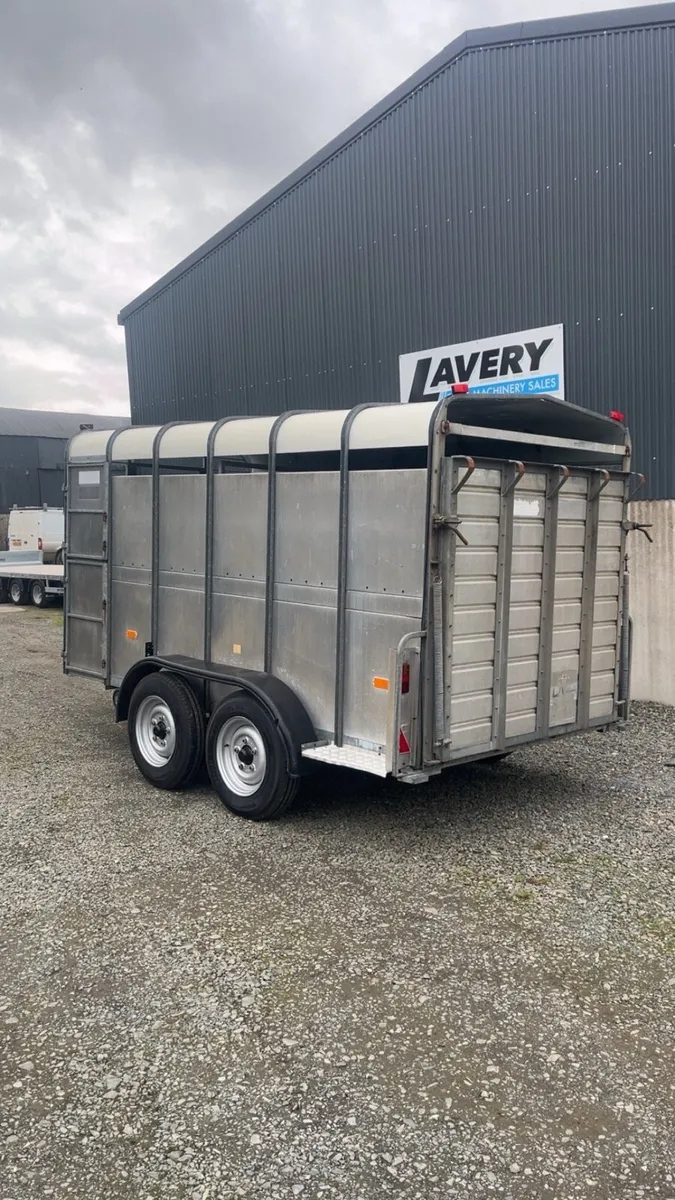 Hudson 12x6 livestock trailer - Image 4