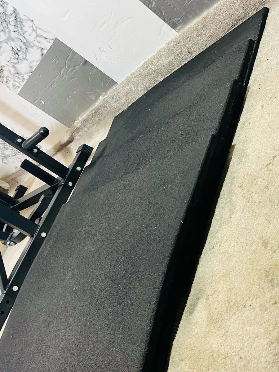 LIFE TIME COMMERCIAL HOME GYM SETUP - Image 3