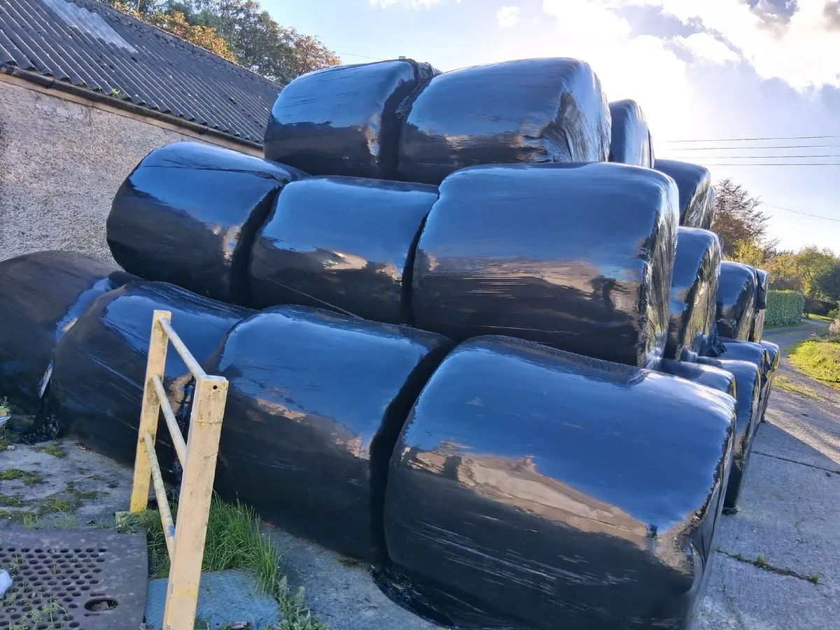 Silage bales for sale - Image 2