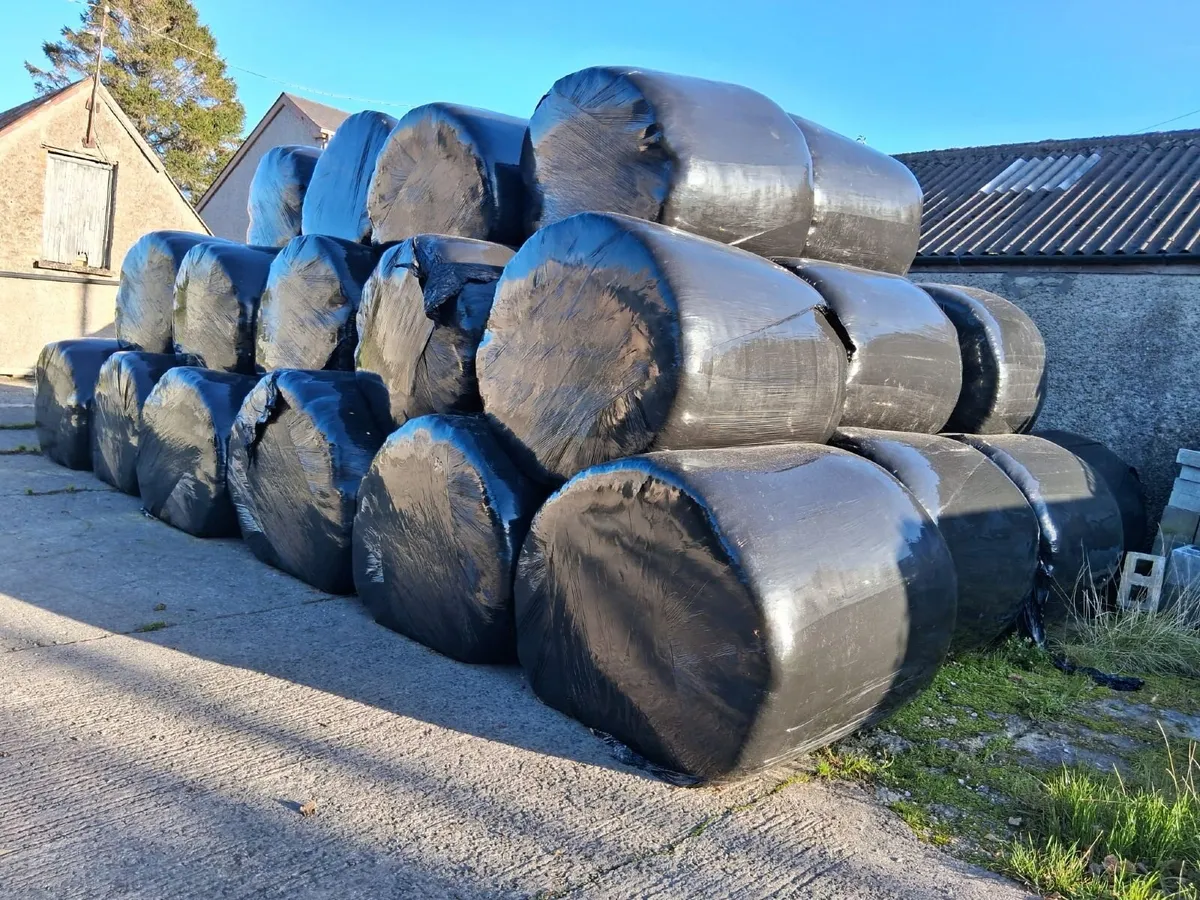 Silage bales for sale - Image 1