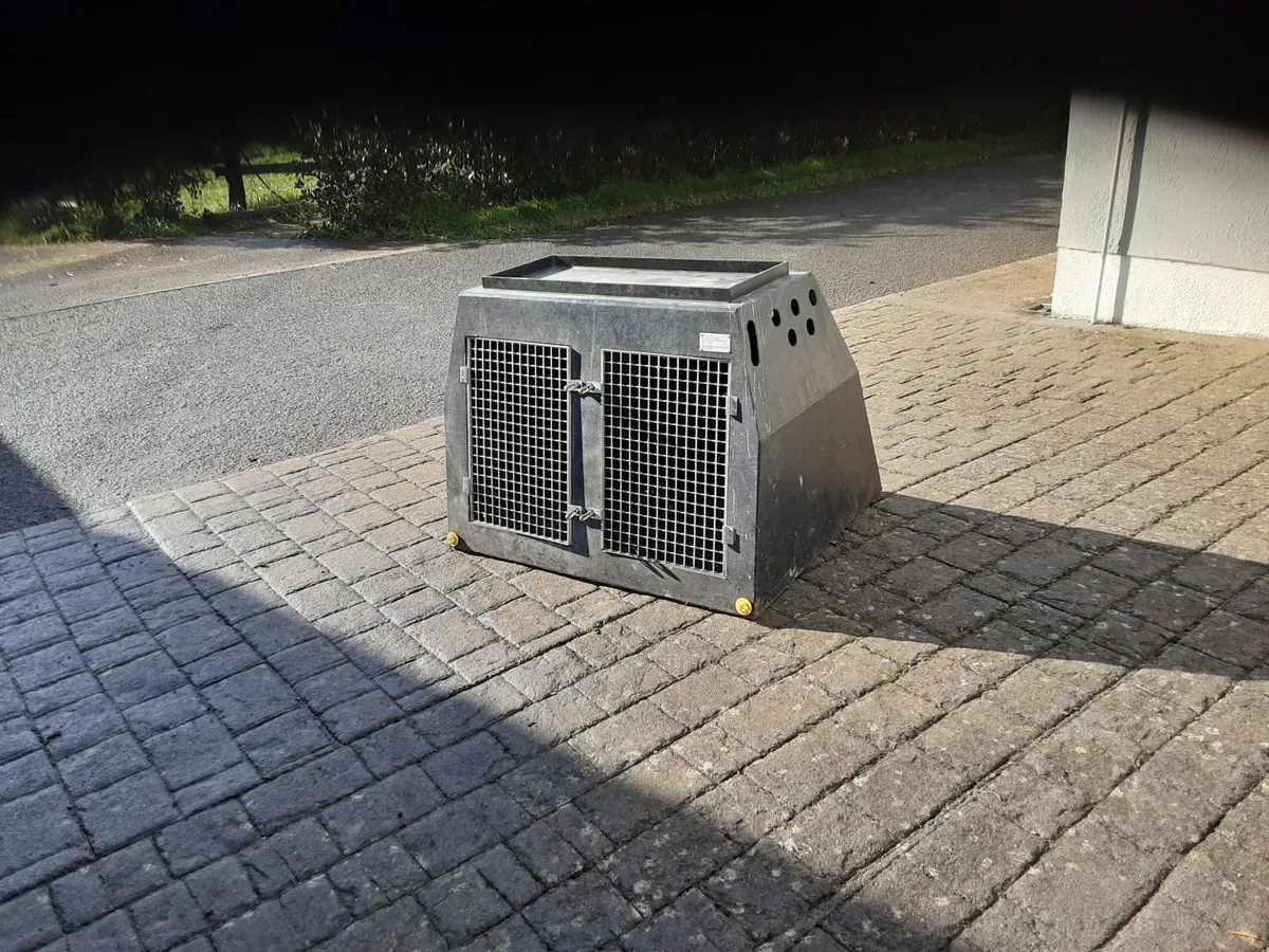 Dog transport box - Image 1
