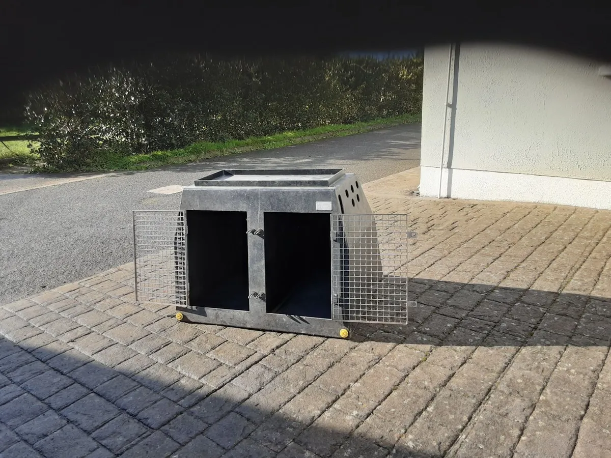Dog transport box - Image 2