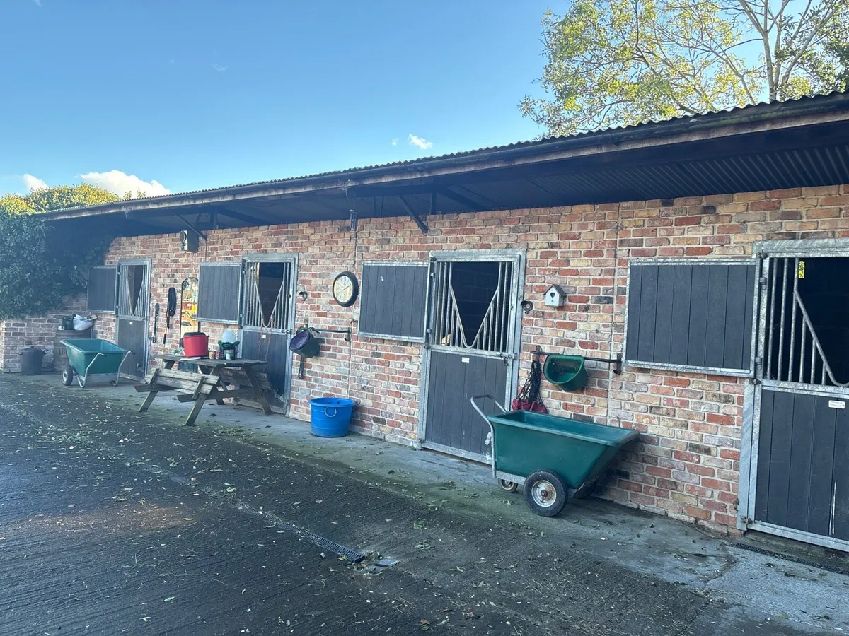 Stables for rent Crossdoney Cavan - Image 1