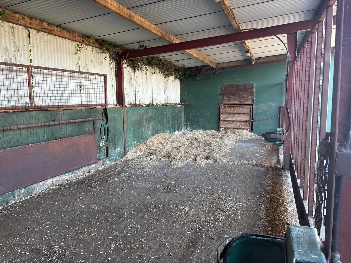 Stables for rent Crossdoney Cavan - Image 2