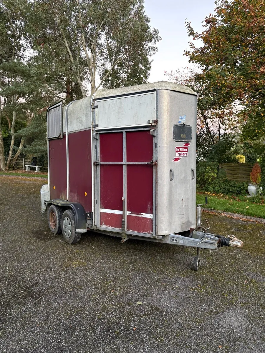 Ifor Williams 505HB horse trailer - Image 1