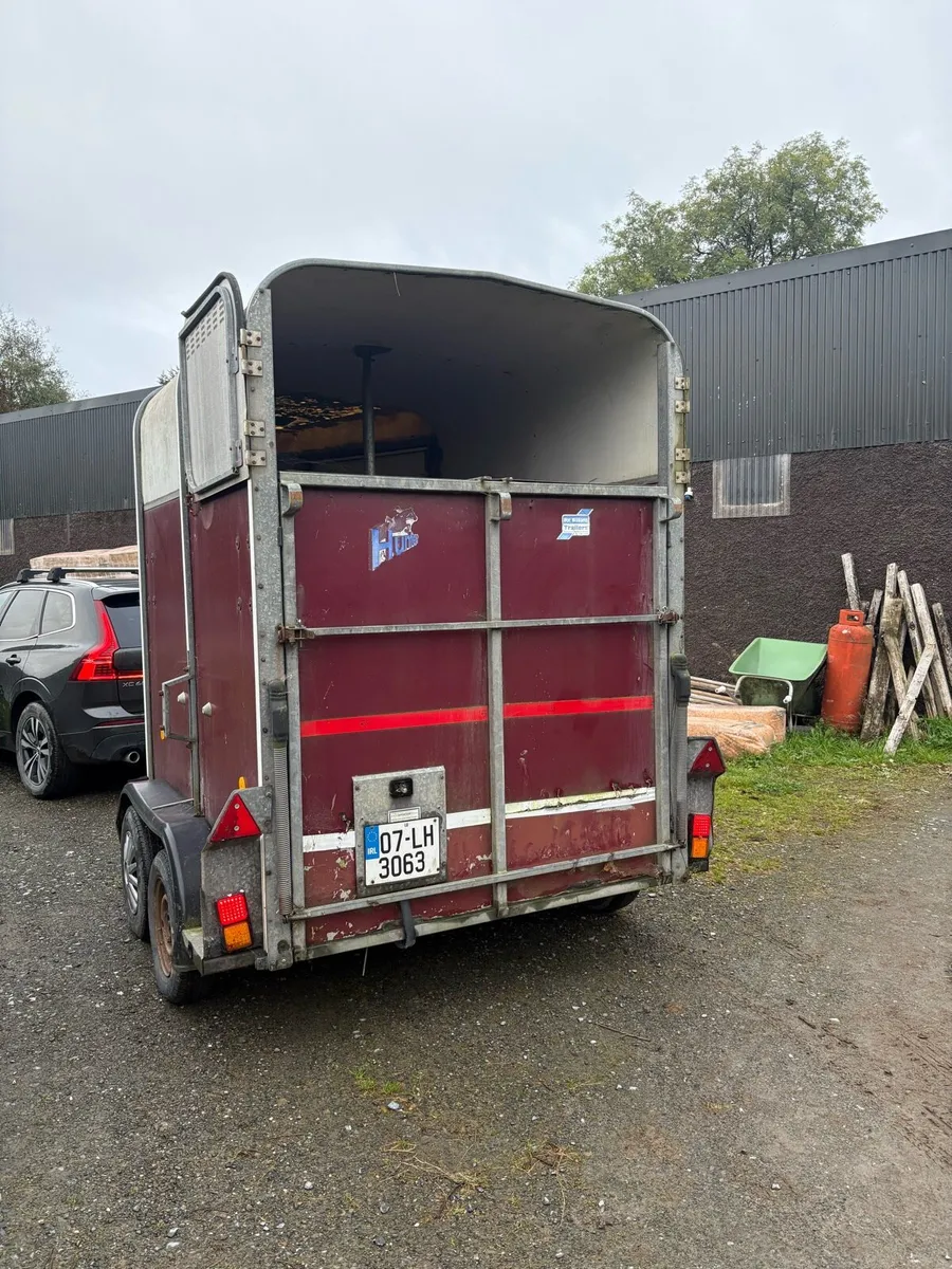 Ifor Williams 505HB horse trailer - Image 3