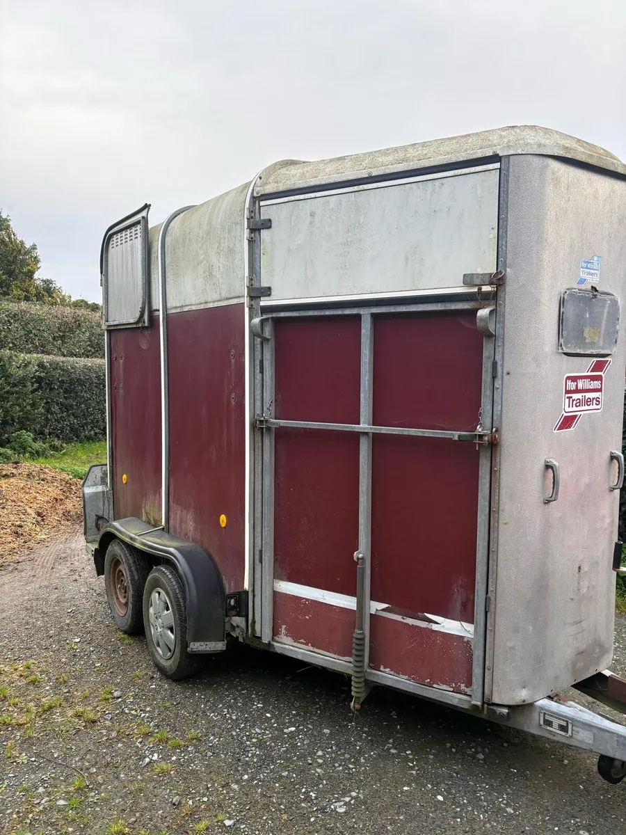 Ifor Williams 505HB horse trailer - Image 4