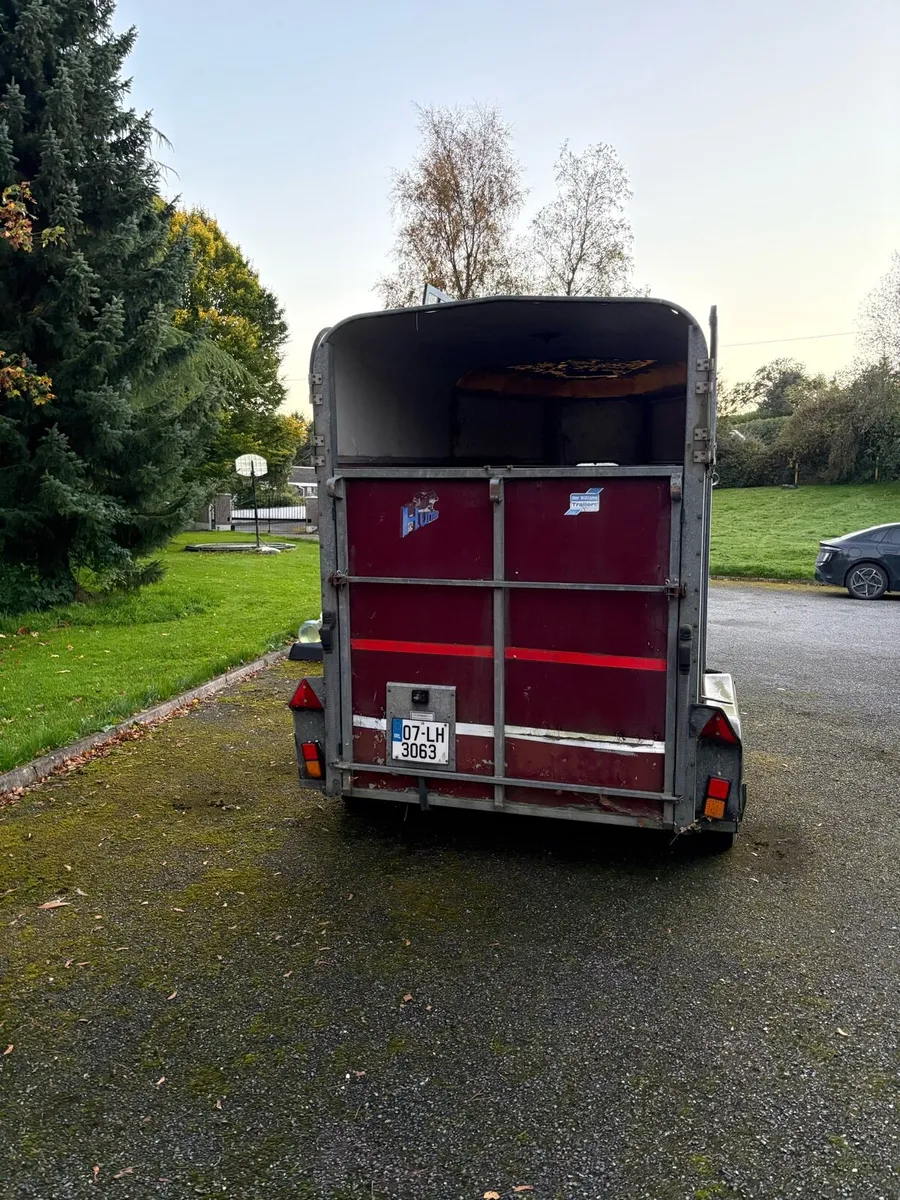 Ifor Williams 505HB horse trailer - Image 2