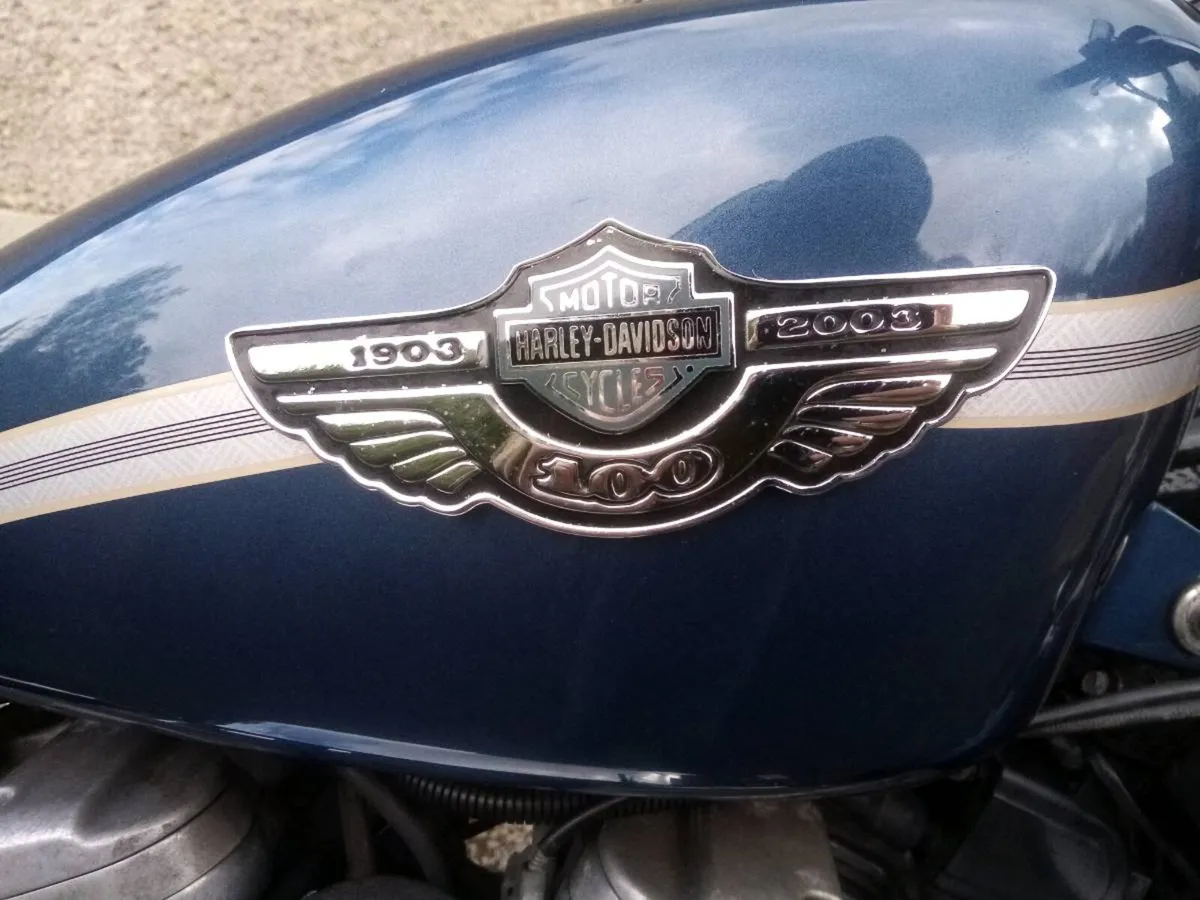 Lovely 100th anniversary harley sportster - Image 2