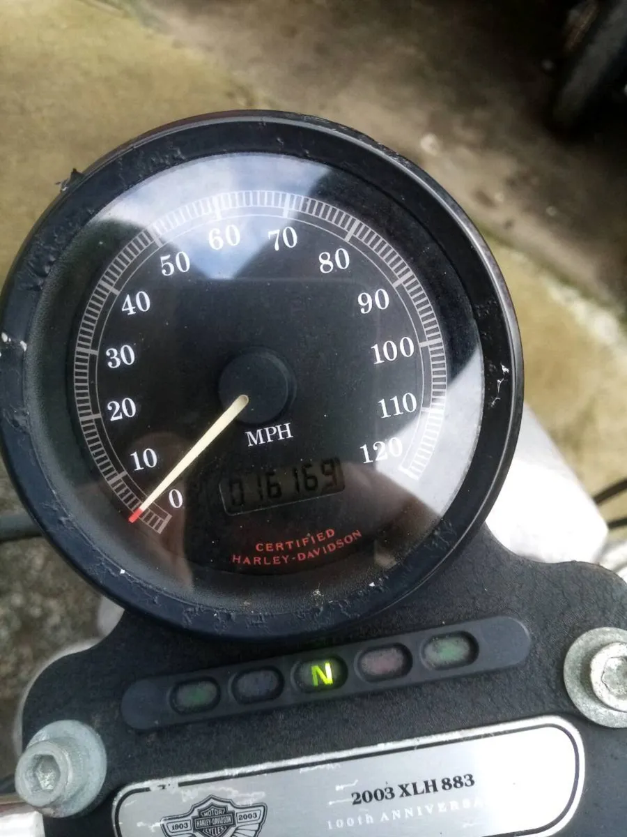 Lovely 100th anniversary harley sportster - Image 3