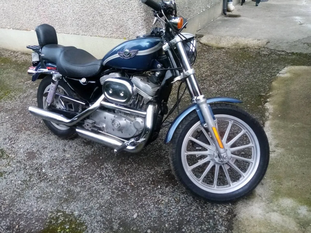 Lovely 100th anniversary harley sportster - Image 4