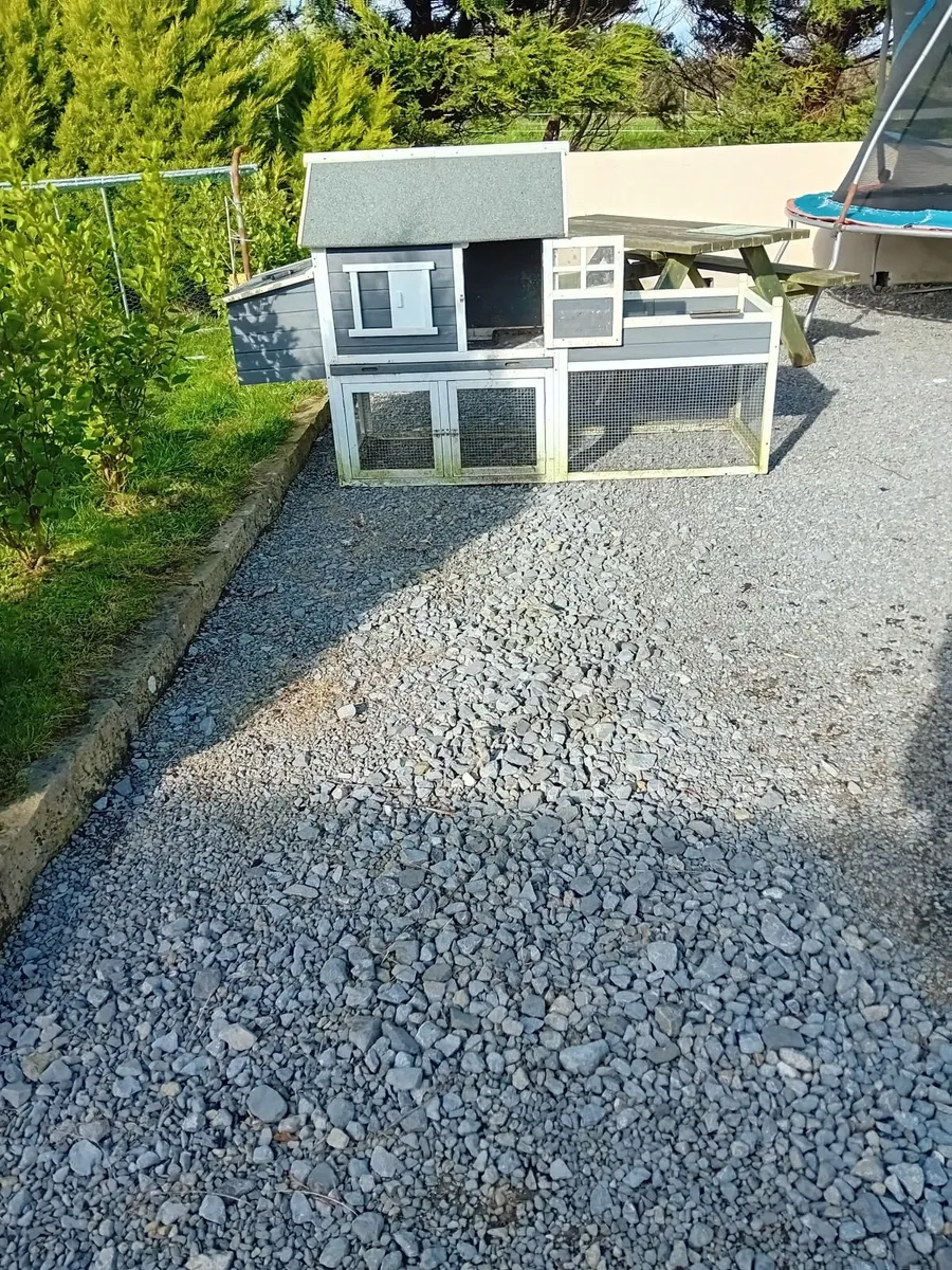 Poultry - Image 3