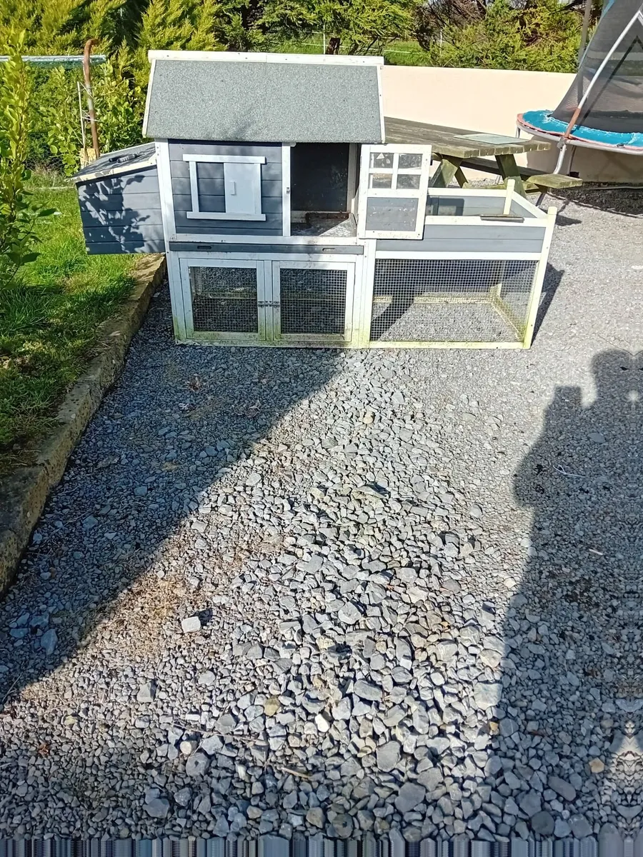 Poultry - Image 4