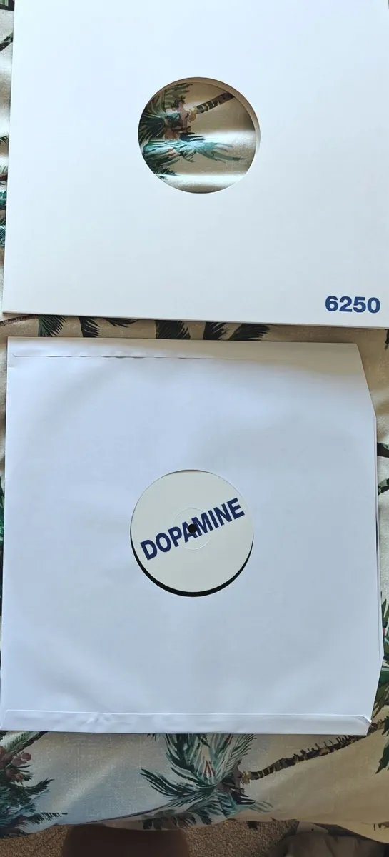 Fontaines D.C. - Dopamine Chamber Vinyl - Image 4