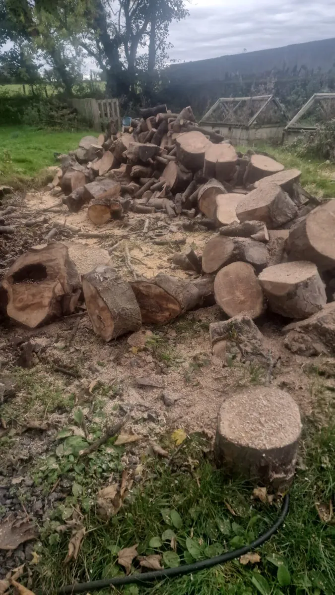 Foundations Rafts - Image 4